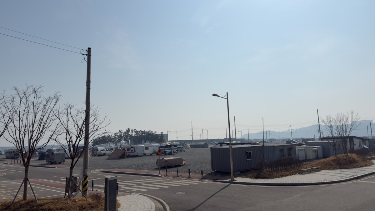 dangjin28.jpg